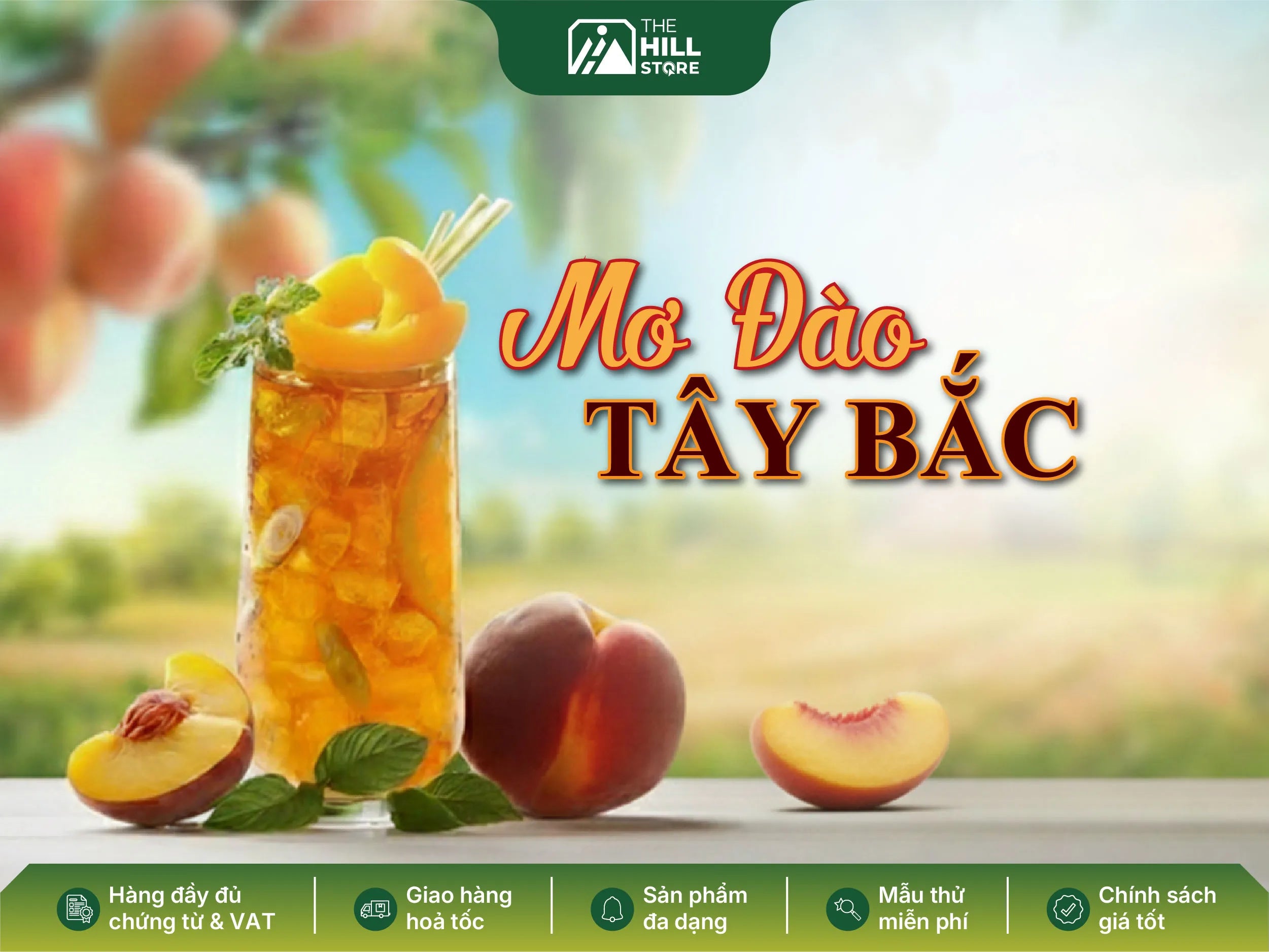 Mơ đào tây bắc – dư vị trà hoa, sắc màu không khí mùa noel