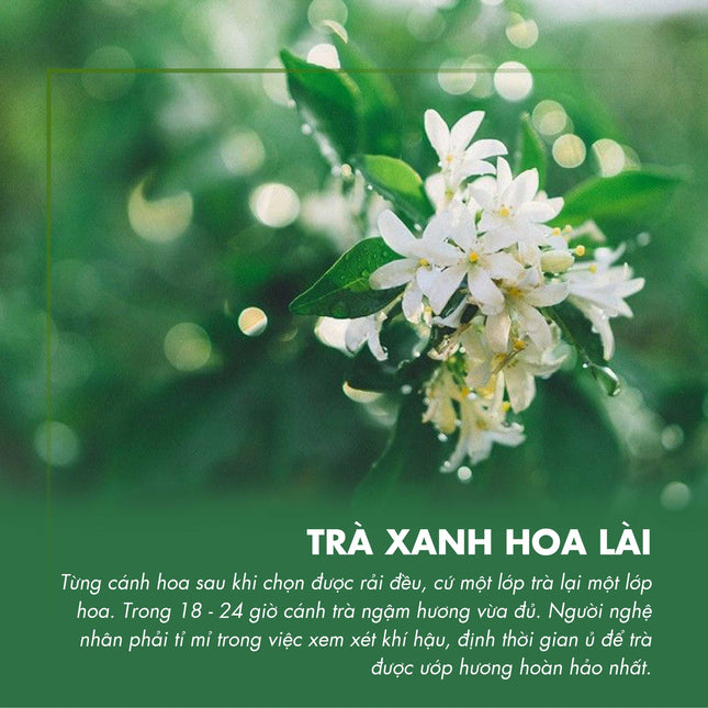 Trà Xanh Hoa Lài NA 500g x 20 Gói