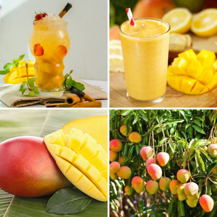 Smoothie Xoài (Mango) Jupiter 1,8kg 2.png