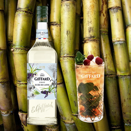 Syrup Giffard Đường Mía (Cane Sugar Vhite) 1.000 ml x 6 Chai.jpg