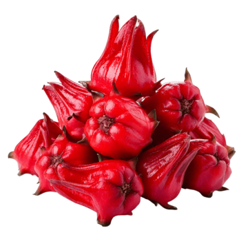 Sốt trái cây vị hoa bụt giấm (Roselle) NATURE TASTE 750 ml